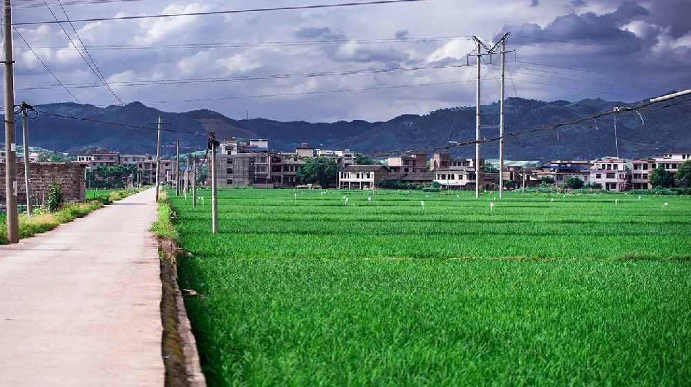 内蒙古乡村沃畉农业服务购入来因科技土壤检测仪器