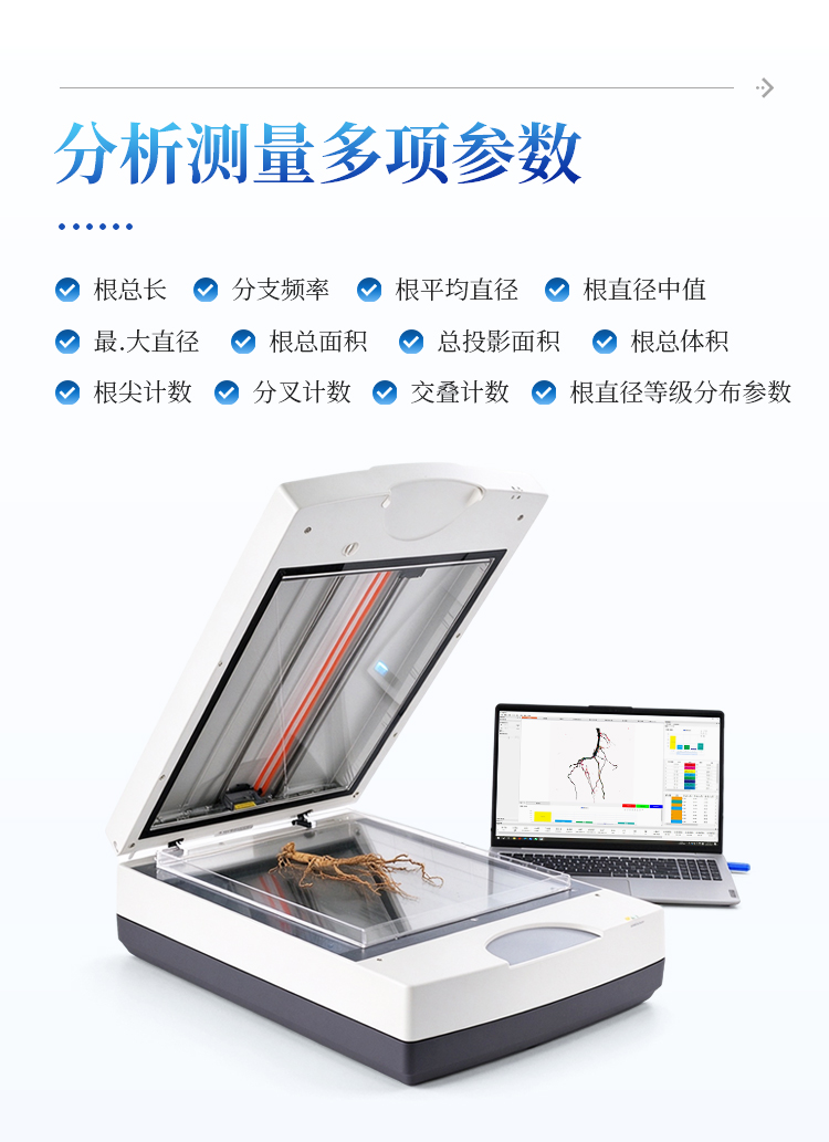 拍照式根系分析仪